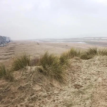 Apartment Near Belgian Coast *