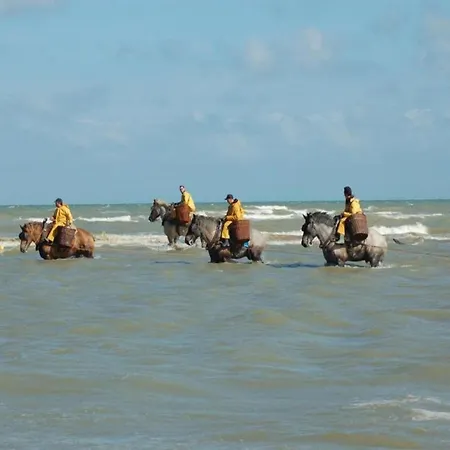 Near Belgian Coast