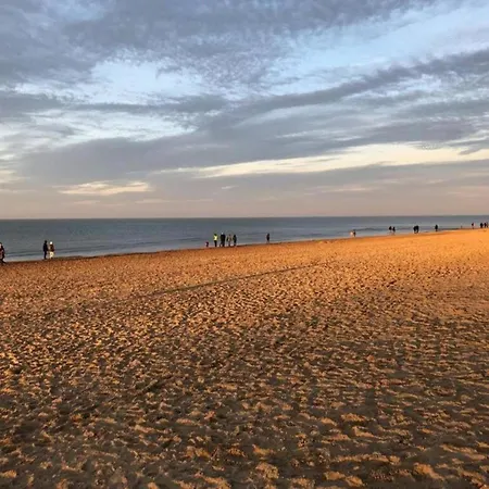 Near Belgian Coast Apartament *